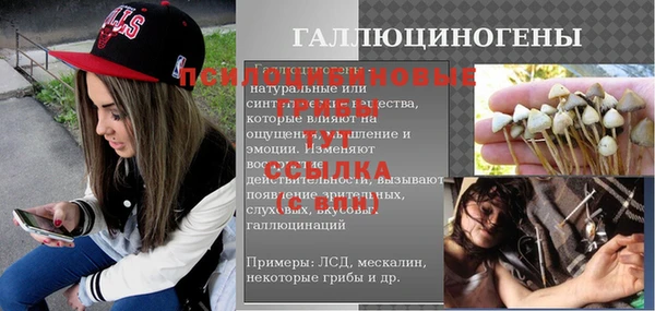 гашик Абинск