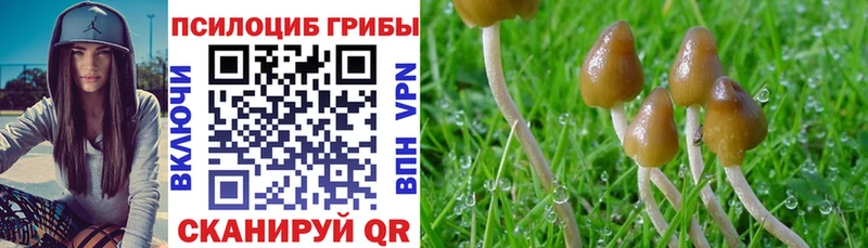Псилоцибиновые грибы мицелий  Отрадное 