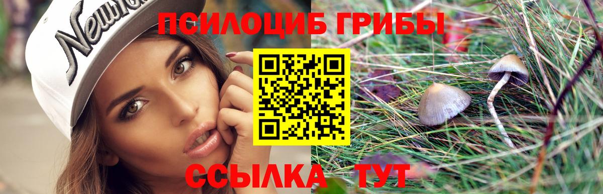 Псилоцибиновые грибы прущие грибы Отрадное