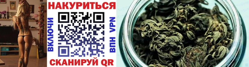 купить наркоту Отрадное Канабис сатива